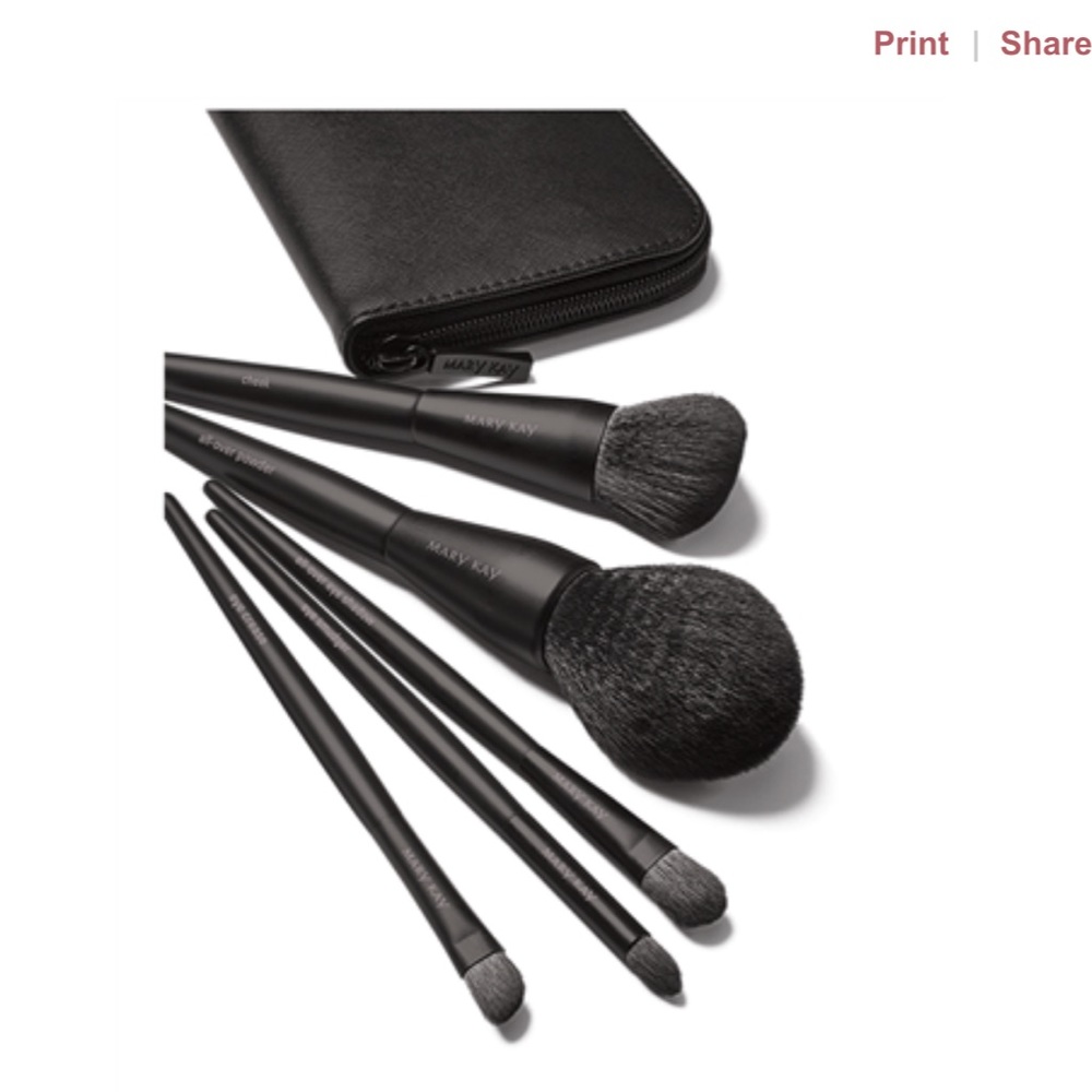 Brand New makeup brush come with organizer